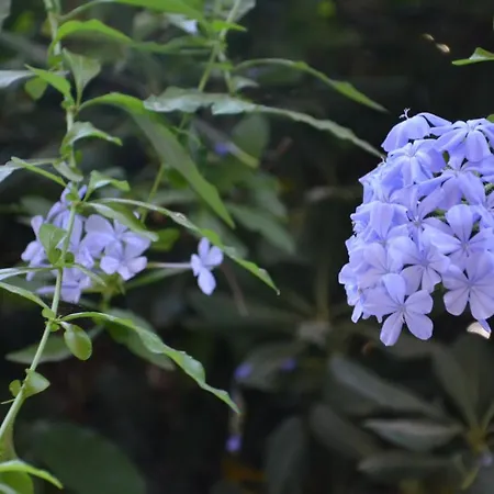 Appartamento Con Giardino Sul Mare Διαμέρισμα Fertilia