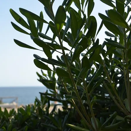 Appartamento Con Giardino Sul Mare Διαμέρισμα