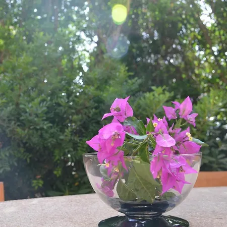 Appartamento Con Giardino Sul Mare
