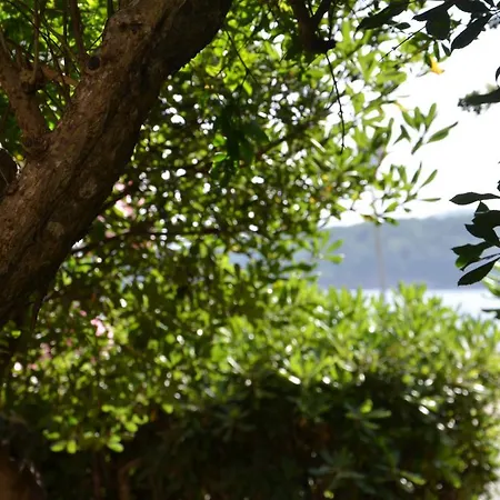Διαμέρισμα Appartamento Con Giardino Sul Mare
