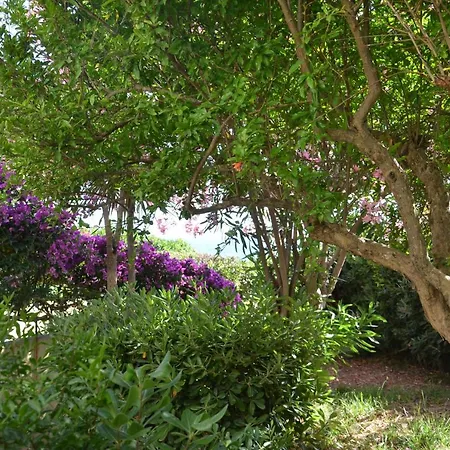 Appartamento Con Giardino Sul Mare