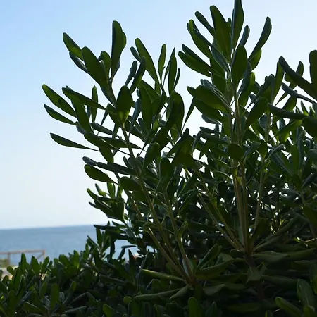 Appartamento Con Giardino Sul Mare Διαμέρισμα *
