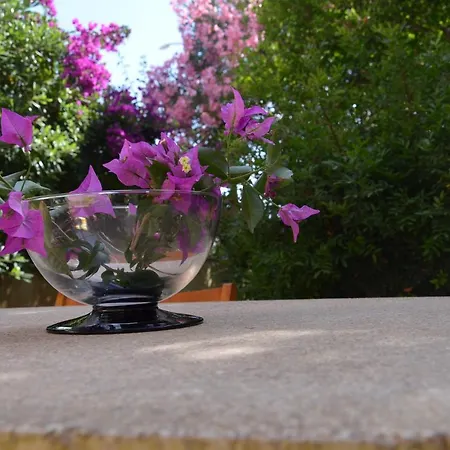 Διαμέρισμα Appartamento Con Giardino Sul Mare *