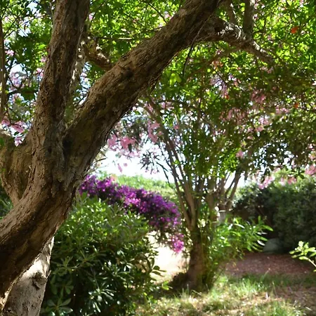 Appartamento Con Giardino Sul Mare Διαμέρισμα *